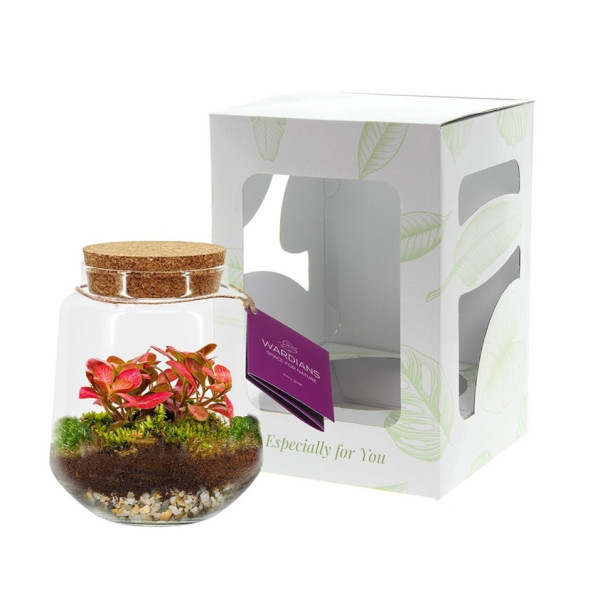 Wardians® Ecosystem - Conical medium