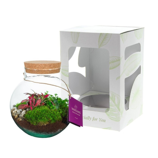 Wardians® Ecosystem - Bowl medium