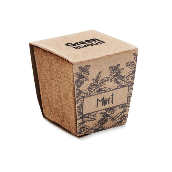 MINT KIT - Pflanz-Set Minze